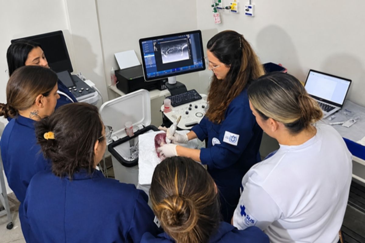 Equipes de enfermagem das Carretas da Mulher Pernambucana participam de treinamento em procedimentos de core biópsia
